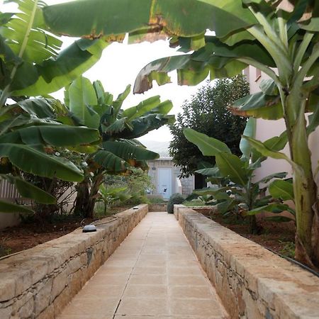 Sunset Apartments Malia  Bagian luar foto